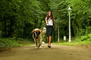 ¿Cuál es la correa más resistente para perros grandes?